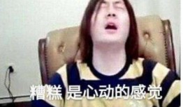 十大爆料主播排行榜最新,揭秘网络红人背后的真实故事